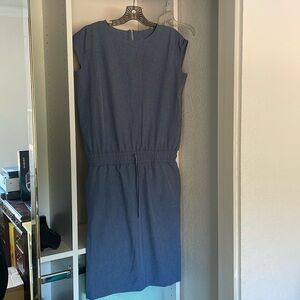 Albion Fit Dress